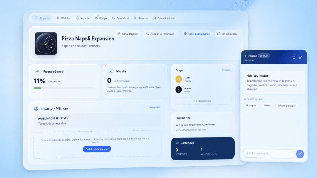 Proyecto + Co-pilot